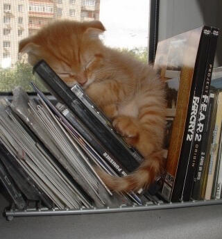 My interests